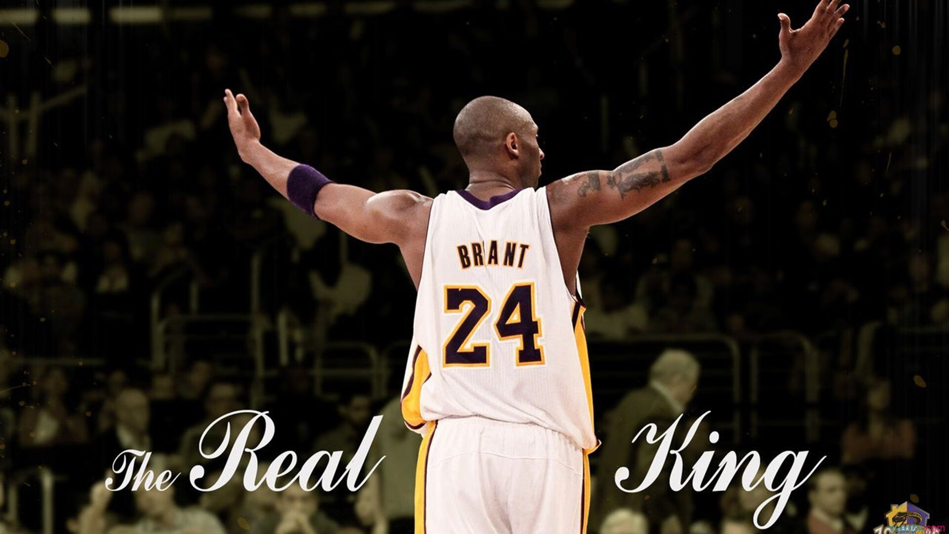 冠军名将:传奇球员退役赛回顾与生涯数据盘点,精选传奇球员名单