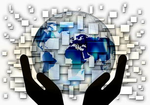 9游-国家滑板协会公布全国青少年排名更新机制，国家滑板队训练中心